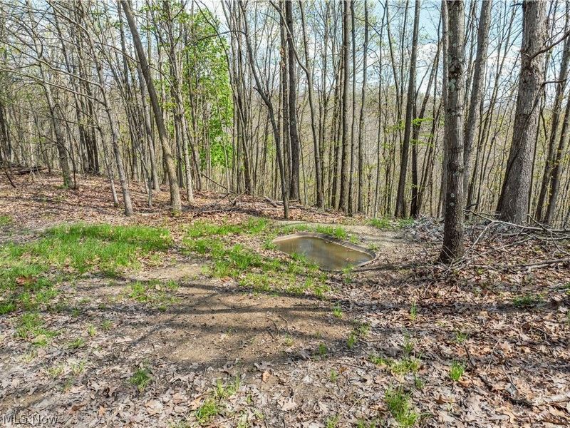 Edwards Ridge Road, Uhrichsville, OH 44683 Photo 18