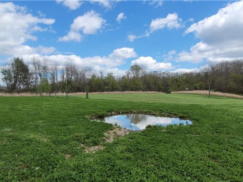 Edwards Ridge Road, Uhrichsville, OH 44683 Photo 33