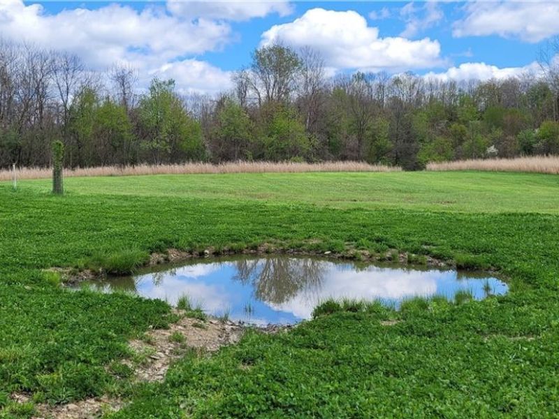 Edwards Ridge Road, Uhrichsville, OH 44683 Photo 34