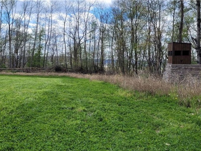 Edwards Ridge Road, Uhrichsville, OH 44683 Photo 35