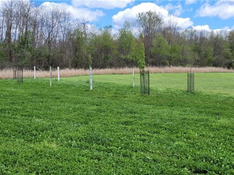 Edwards Ridge Road, Uhrichsville, OH 44683 Photo 37