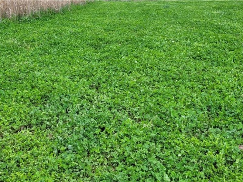 Edwards Ridge Road, Uhrichsville, OH 44683 Photo 38