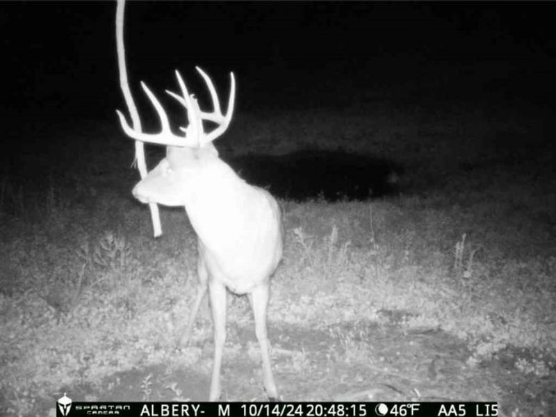 Edwards Ridge Road, Uhrichsville, OH 44683 Photo 41