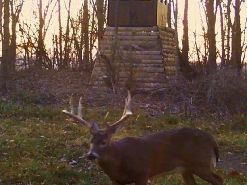 Edwards Ridge Road, Uhrichsville, OH 44683 Photo 47