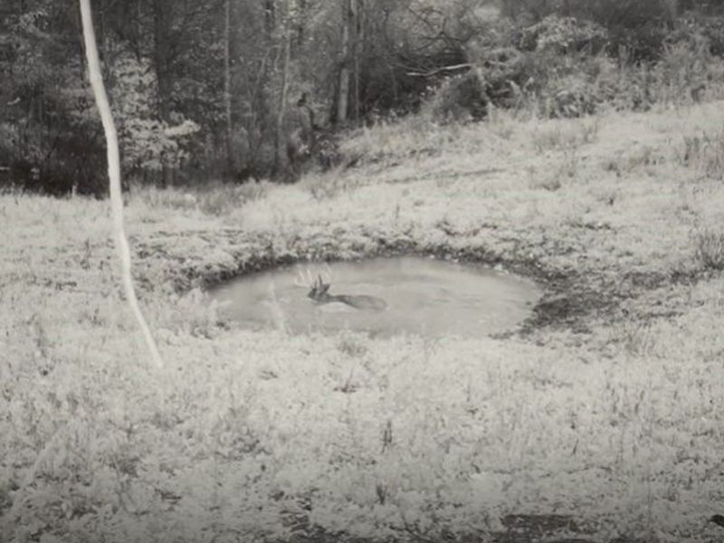 Edwards Ridge Road, Uhrichsville, OH 44683 Photo 48