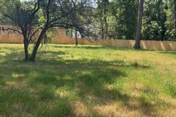 1833 Woodland Road photo 4