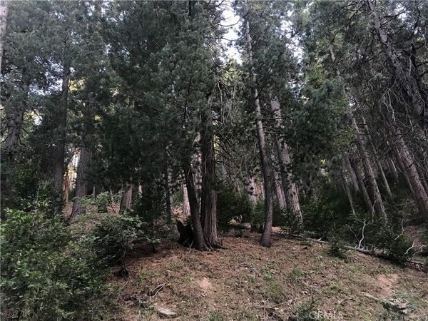 0 Mojave River, Cedarpines Park, CA 92322