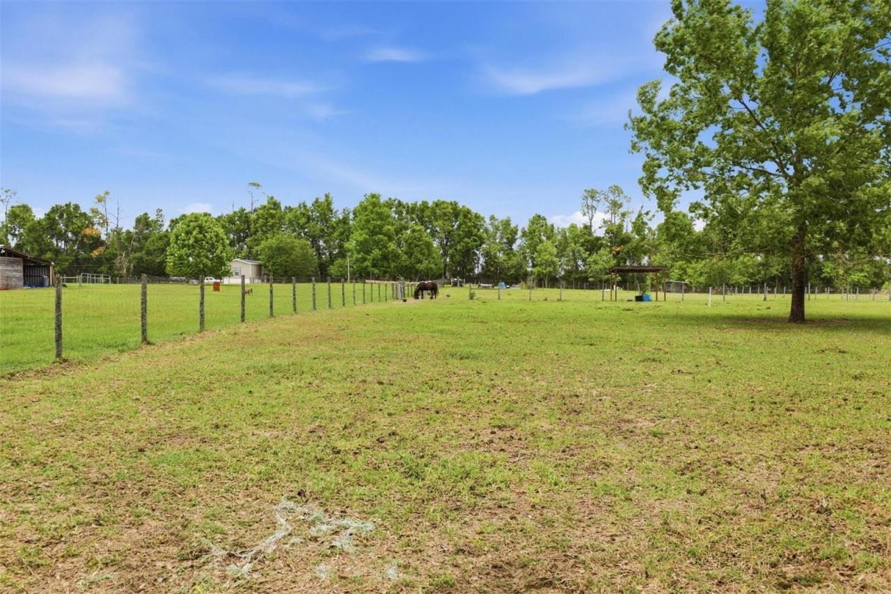 3460 SE County Road 337, Trenton, FL 32693 Photo