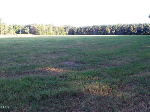 595 County Road 247 , Bruce, MS 38915