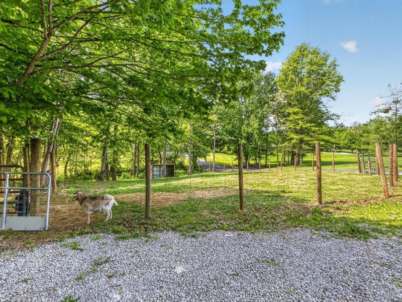 2954 Clermont County Farms Road, Franklin Twp, OH 45106 Photo 19