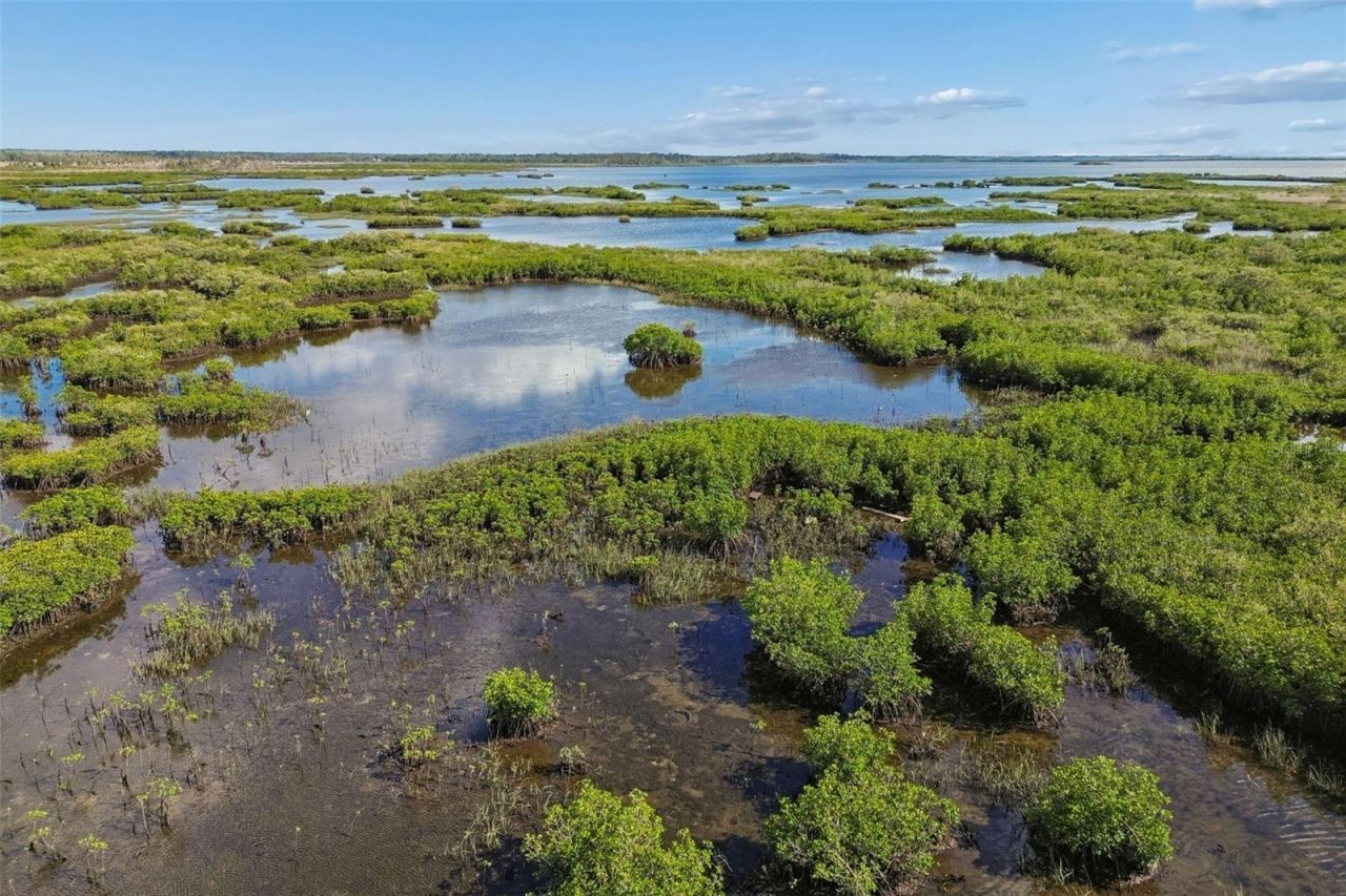 10501 Pine Island Drive , Weeki Wachee, FL 34607 Photo