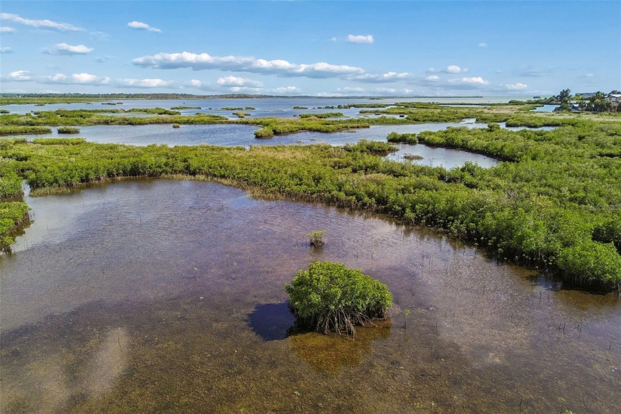 10501 Pine Island Drive , Weeki Wachee, FL 34607 Photo