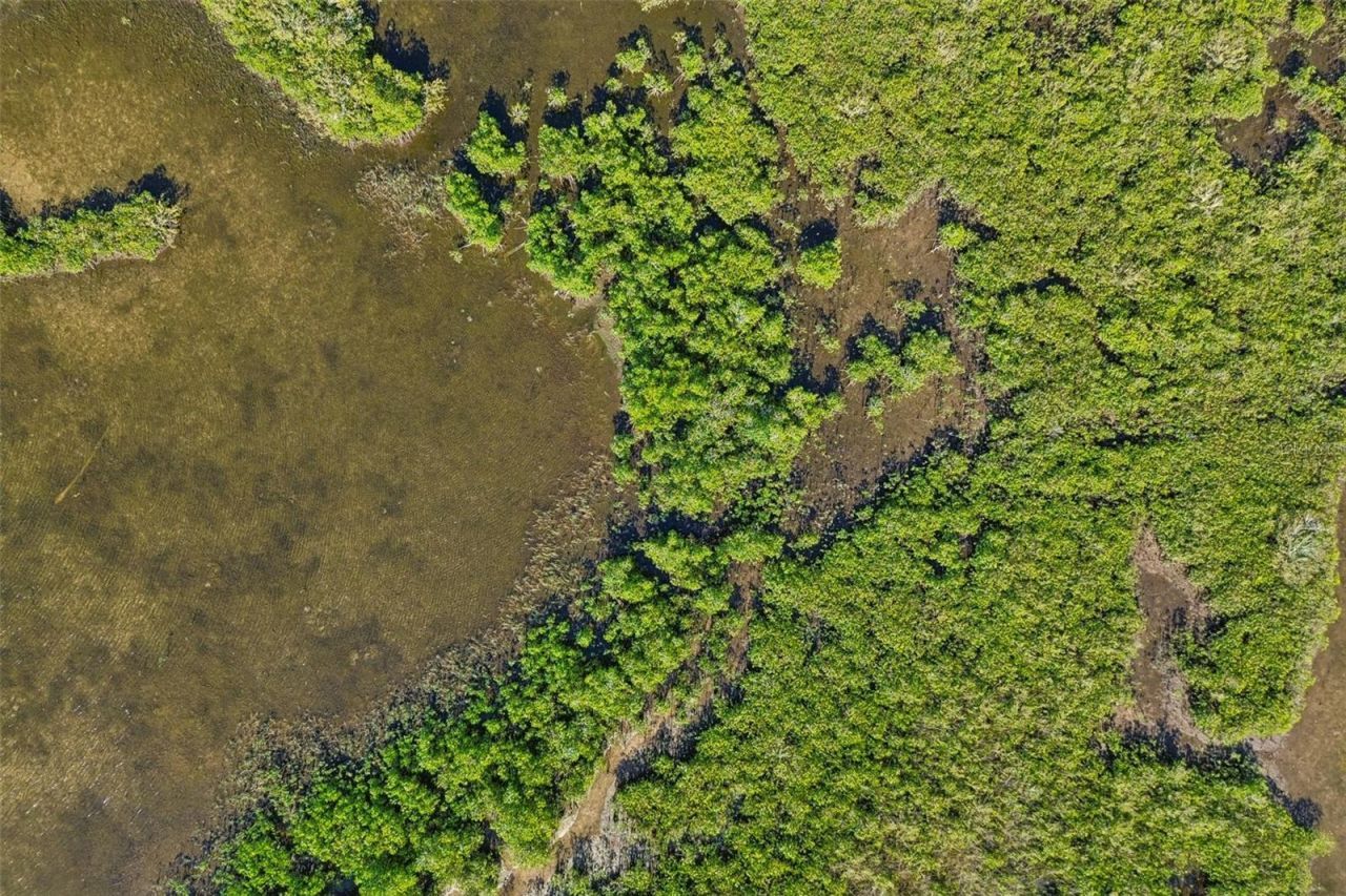 10501 Pine Island Drive , Weeki Wachee, FL 34607 Photo