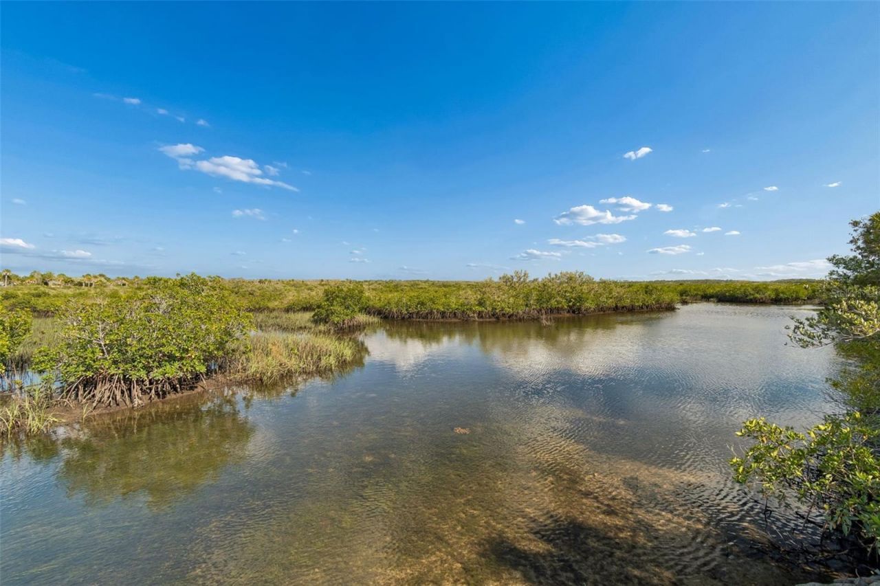 10501 Pine Island Drive , Weeki Wachee, FL 34607 Photo