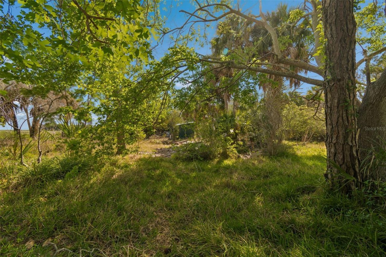 10501 Pine Island Drive , Weeki Wachee, FL 34607 Photo