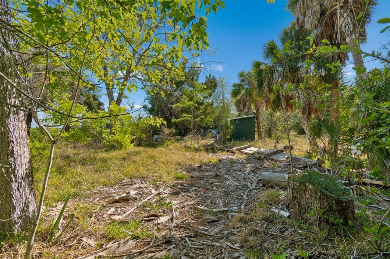 10501 Pine Island Drive , Weeki Wachee, FL 34607 Photo