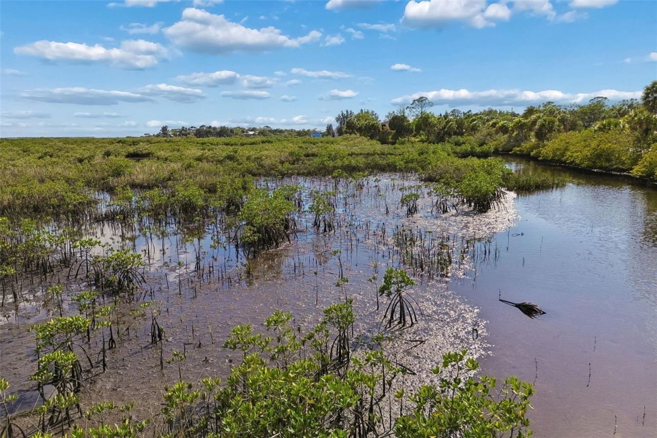 10501 Pine Island Drive , Weeki Wachee, FL 34607 Photo