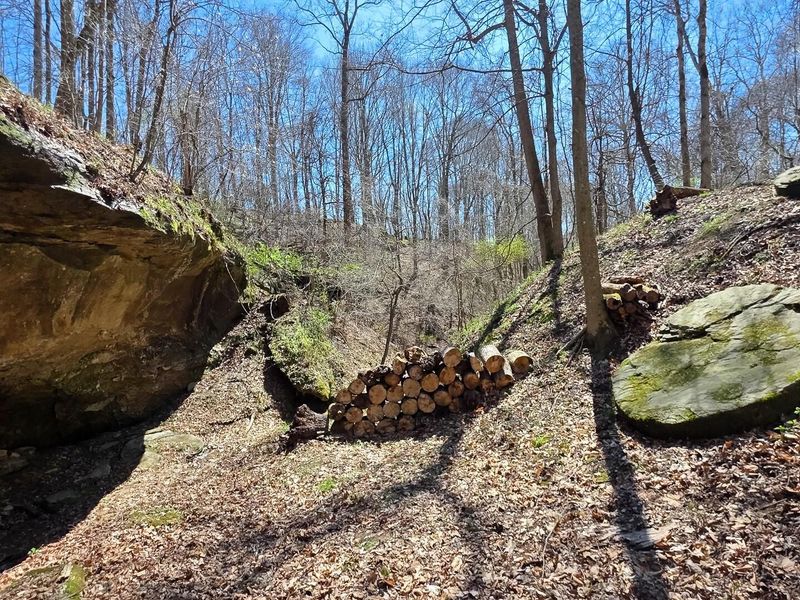 0 Remely Road , Unit (Millstone, Cutler, OH 45724 Photo 11
