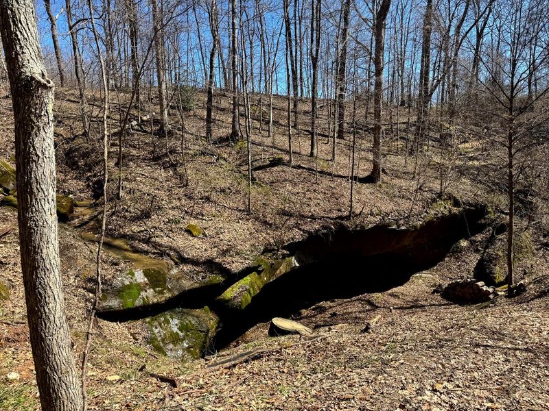 0 Remely Road , Unit (Millstone, Cutler, OH 45724 Photo 23