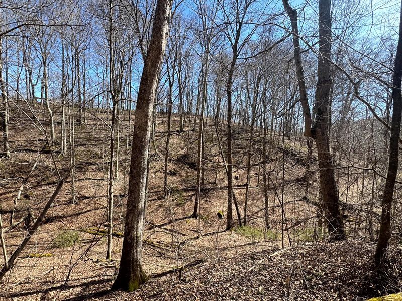 0 Remely Road , Unit (Millstone, Cutler, OH 45724 Photo 29