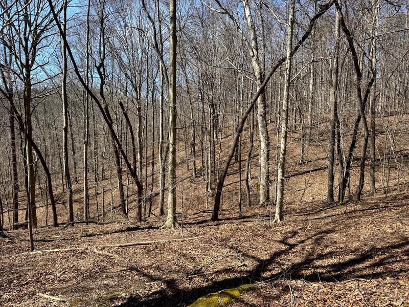 0 Remely Road , Unit (Millstone, Cutler, OH 45724 Photo 34