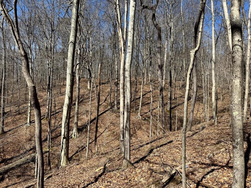 0 Remely Road , Unit (Millstone, Cutler, OH 45724 Photo 35