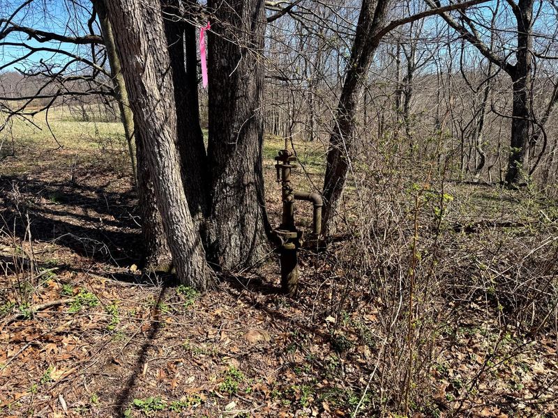 0 Remely Road , Unit (Millstone, Cutler, OH 45724 Photo 38