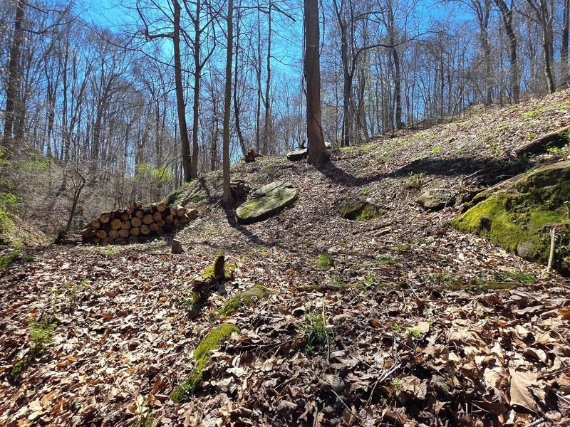 0 Remely Road , Unit (Millstone, Cutler, OH 45724 Photo 9