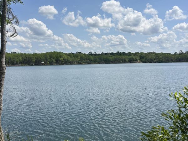 TBD Blue Pond Circle Circle, Ponce De Leon, FL 32455