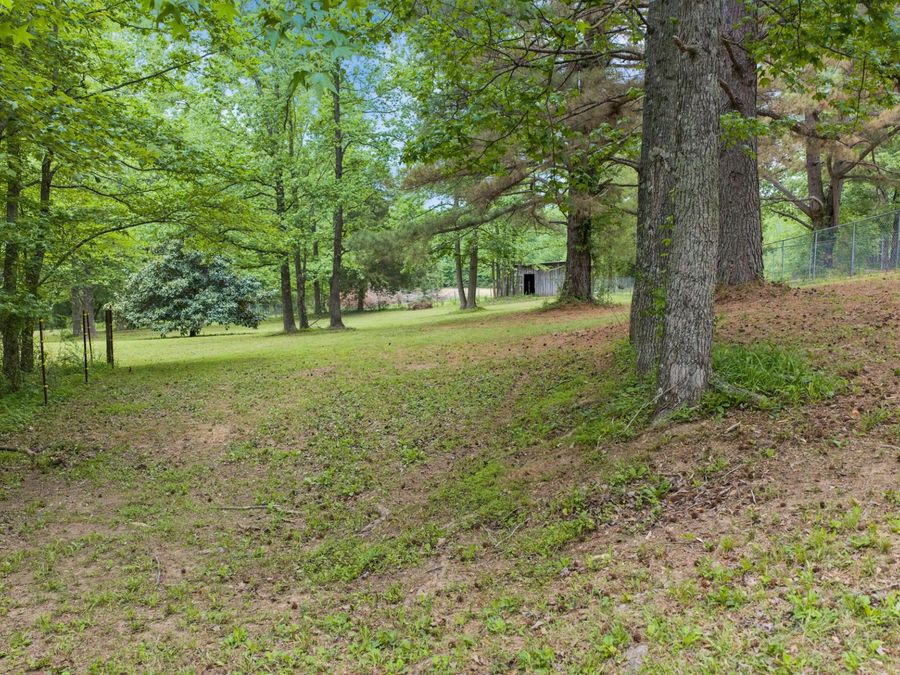 Property Image 33
