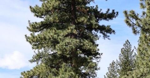 5380 Double Creek Court, Reno, NV 89511 Photo