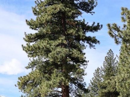 5380 Double Creek Court, Reno, NV 89511 Photo