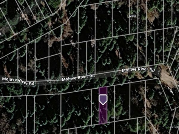 0 Mojave River, Cedarpines Park, CA 92322