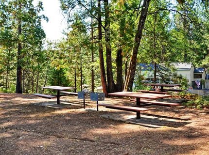 258 Bull Wacker Run, Arnold, CA 95223 Photo