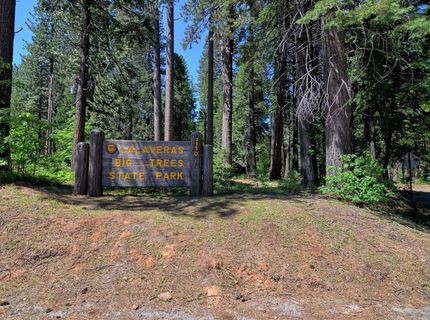 258 Bull Wacker Run, Arnold, CA 95223 Photo