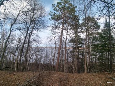 50126 County 29 , Bemidji, MN 56601