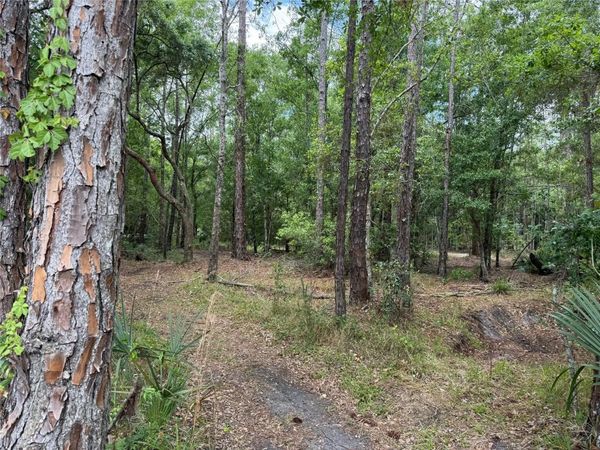 552 BUCKSHOT AVENUE , OSTEEN, FL 32764