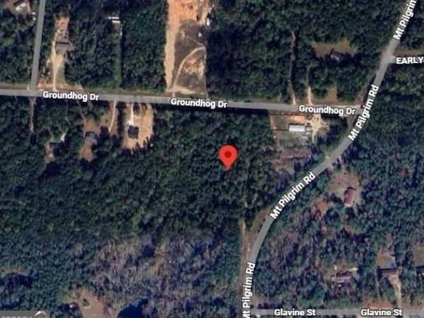 LOT 55 Groundhog Drive, Greenville, GA 30222