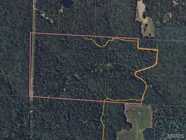 73 +/- AC Tree Farm Road , New Florence, MO 63363