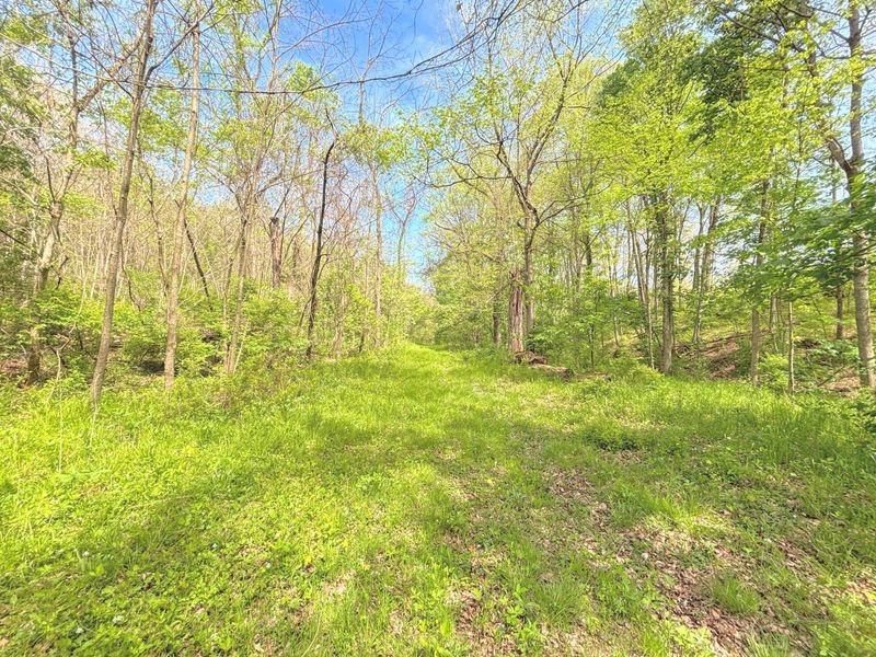 1021 Jones Road, Walton, KY 41094 Photo 9