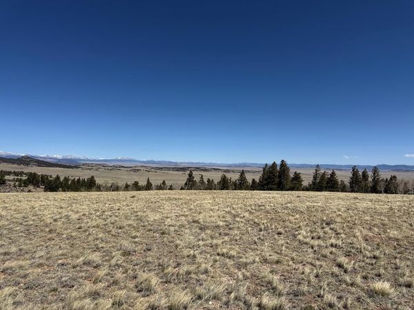 197 Baler Ct, Hartsel, CO 80449