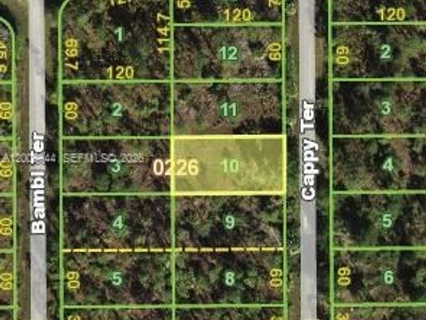 13347 Cappy Ter , Punta Gorda, FL 33955