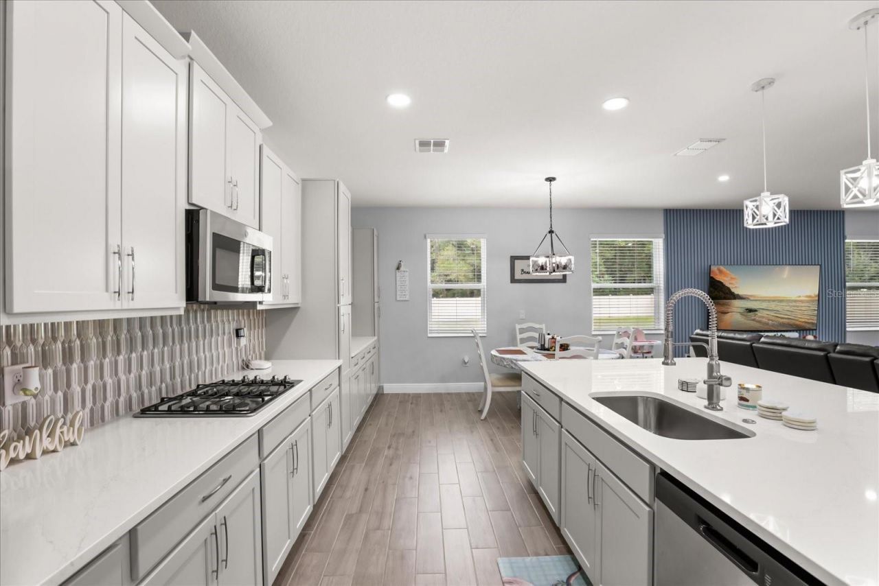 5867 Sierra Crown Street, Mount Dora, FL 32757 Photo