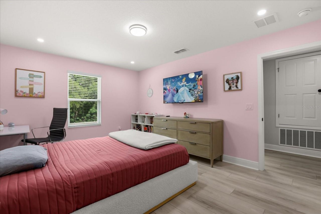 5867 Sierra Crown Street, Mount Dora, FL 32757 Photo