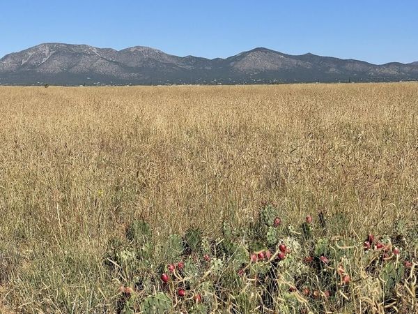 136 Moseley Road , Edgewood, NM 87015