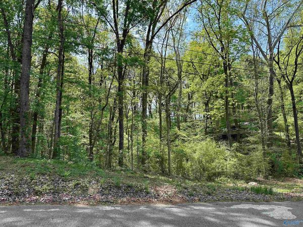 12466 Beech Fork Lane, Athens, AL 35611