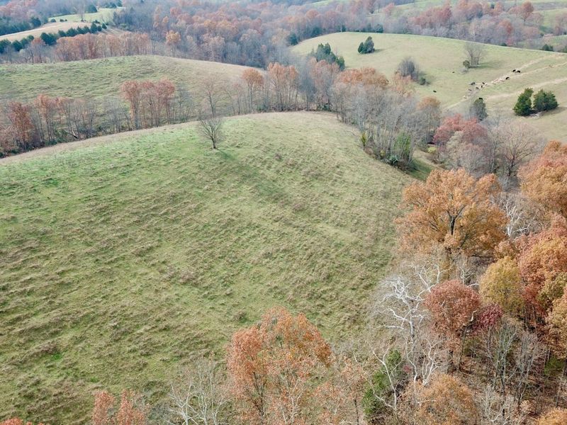 00 Gratz Road, Owenton, KY 40359 Photo 23
