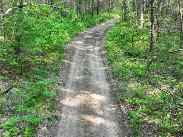 V/L Benson Rd / Frd 5259, Free Soil, MI 49411