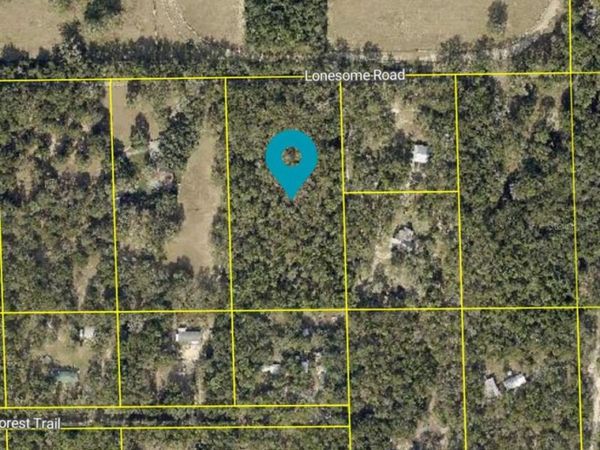 LONESOME ROAD , BROOKSVILLE, FL 34601