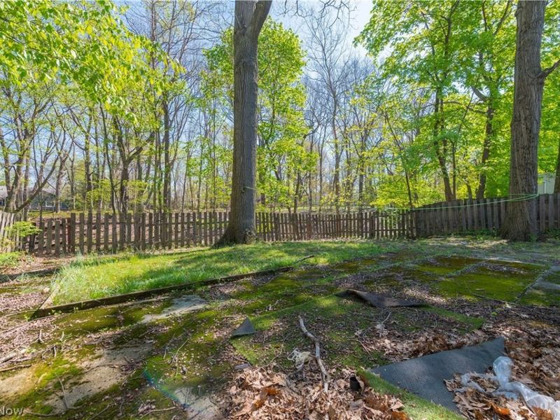 3675 Randolph Road, Cleveland Heights, OH 44121 Photo 46